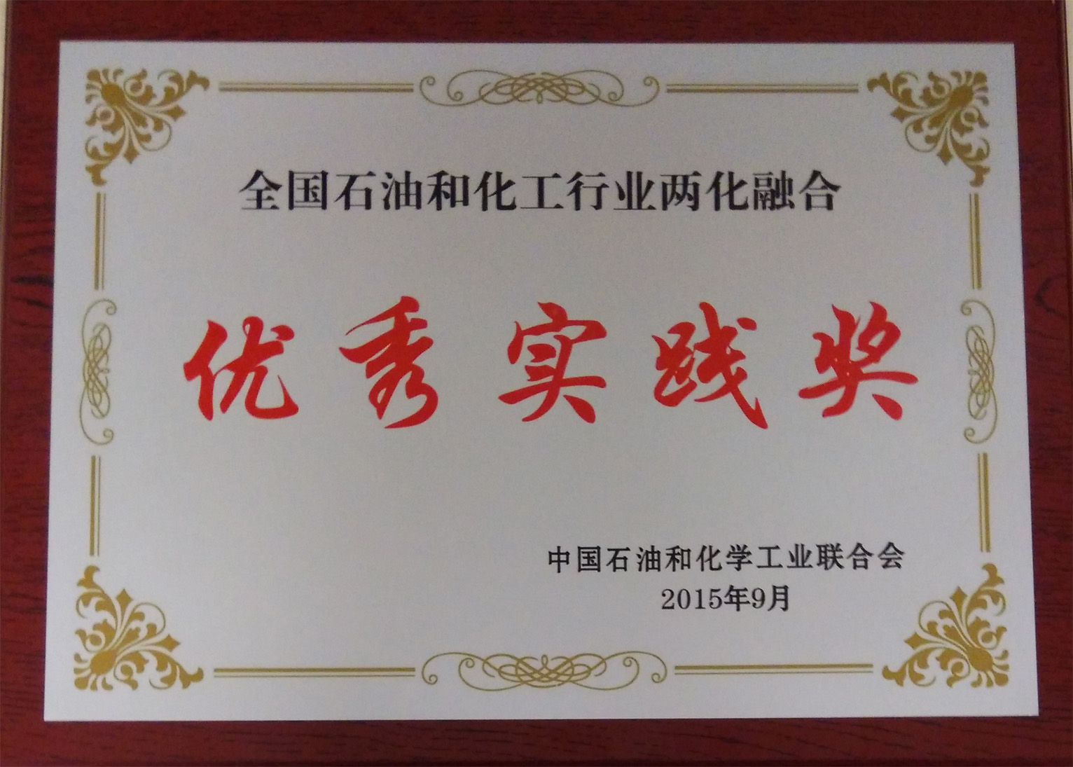 全国石油和化工行业两化融合优秀实践奖-国产麻豆视频免费观看集团有限公司-中国石油和化学工业联合会-2015.9