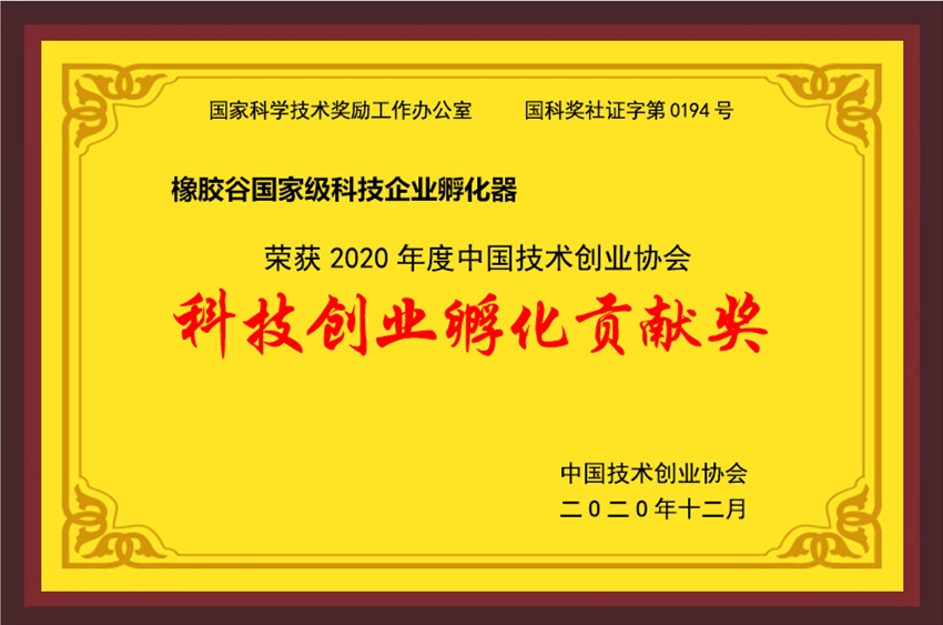 中国技术创业协会-2020年度科技创业孵化贡献奖-国产麻豆视频免费观看国家级科技企业孵化器-2020.12